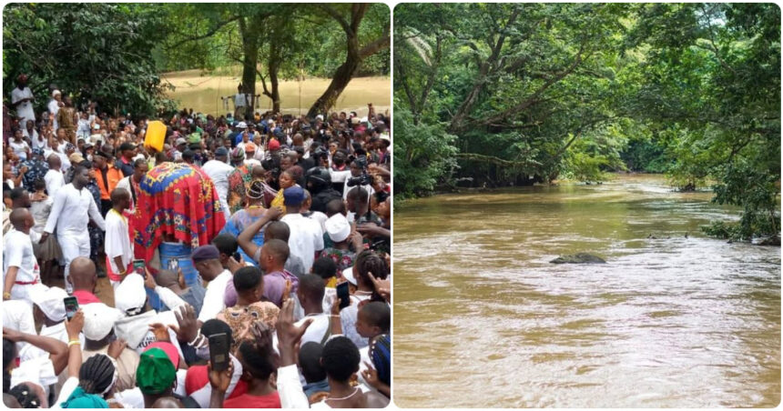 Pastor invades Osun-Osogbo Grove