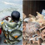 Oyo State Police Command arrest railway vandals